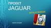 Проект Jaguar