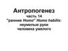 Антропогенез. Ранние homo" homo habilis: неумелые руки человека умелого. (часть 14)