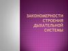 Закономерности строения дыхательной системы