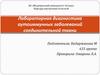 Лабораторная диагностика аутоиммунных заболеваний соединительной ткани