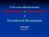 Система обеспечения правопорядка и безопасности в Российской Федерации