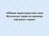 Общая характеристика типа Кольчатые черви на примере дождевого червя