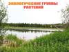 Экологические группы растений