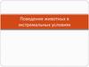 Поведение животных в экстремальных условиях