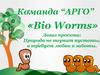 Команда «АРГО». «Bio Worms»