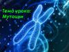 Мутации
