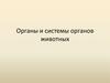 Органы и системы органов животных