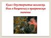 Класс Двустворчатые моллюски. Роль в биоценозах и практическое значение