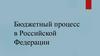 Бюджетный процесс в Российской Федерации