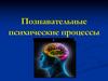 Познавательные психические процессы