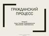 Гражданский процесс