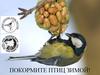 Покормите птиц зимой
