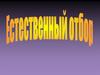 Естественный отбор