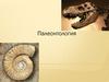 Палеонтология, как наука