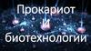 Прокариот и биотехнологии