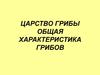 Царство Грибы. Общая характеристика грибов