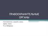 Правоохранительные органы. Предмет, система, основные понятия и правовые источники правоохранительных органов России