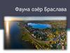 Фауна озёр Браслава