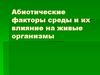 Абиотические факторы среды и их влияние на живые организмы