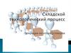 Складской технологический процесс. Операции по отпуску товаров