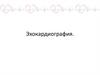 Эхокардиография. Исследование сердца