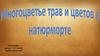 Многоцветье трав и цветов в натюрморте