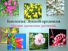 Живой организм. Органы цветковых растений