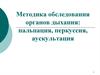 Методика обследования органов дыхания: пальпация, перкуссия, аускультация