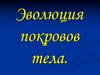 Эволюция покровов тела