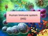 Human Immune system (HIS)