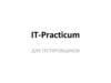 IT-Practicum для тестировщиков