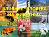 Влияние человека на животных