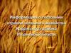 Информация о состоянии отрасли сельского хозяйства Кадомского района Рязанской области