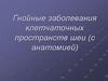 Гнойные заболевания клетчаточных пространств шеи (с анатомией)