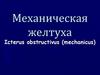 Механическая желтуха