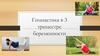 Гимнастика в 3 триместре беременности