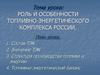 Роль и особенности топливно-энергетического комплекса России