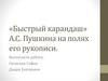 «Быстрый карандаш» А.С. Пушкина на полях его рукописи