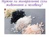 Нужны ли минеральные соли животным и человеку?