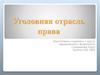 Уголовная отрасль права