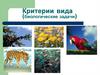 Критерии вида (биологические задачи)