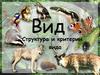 Вид. Структура и критерии вида