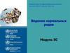 Ведение нормальных родов. (Модуль 5)