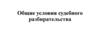Общие условия судебного разбирательства