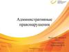Административные правонарушения