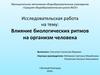 Влияние биологических ритмов на организм человека