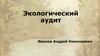 Экологический аудит