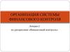 Организация системы финансового контроля. (Лекция 2)