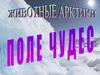 Животный мир Арктики