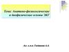 Анатомо-физиологические и биофизические основы ЭКГ